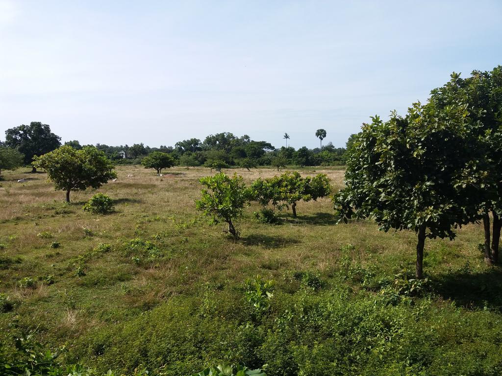 فندق كِبفي  Khmer House Bungalow المظهر الخارجي الصورة